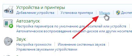 подраздел Мышь