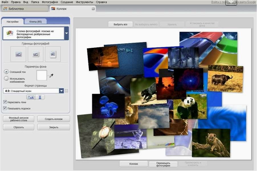 Picasa — инструмент для удобной организации и просмотра фотографий 
