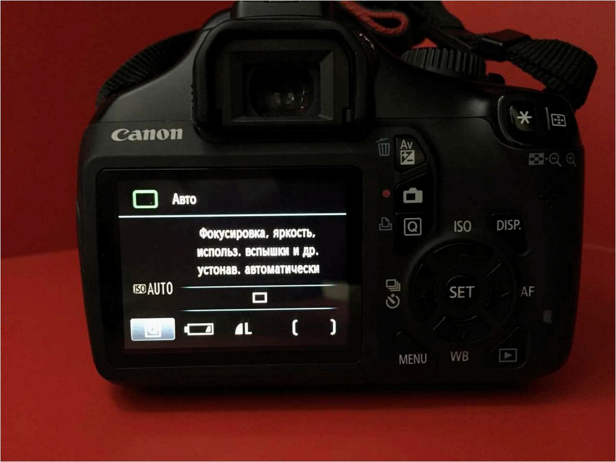 Определите количество снимков, сделанных камерой Canon EOS Digital Info