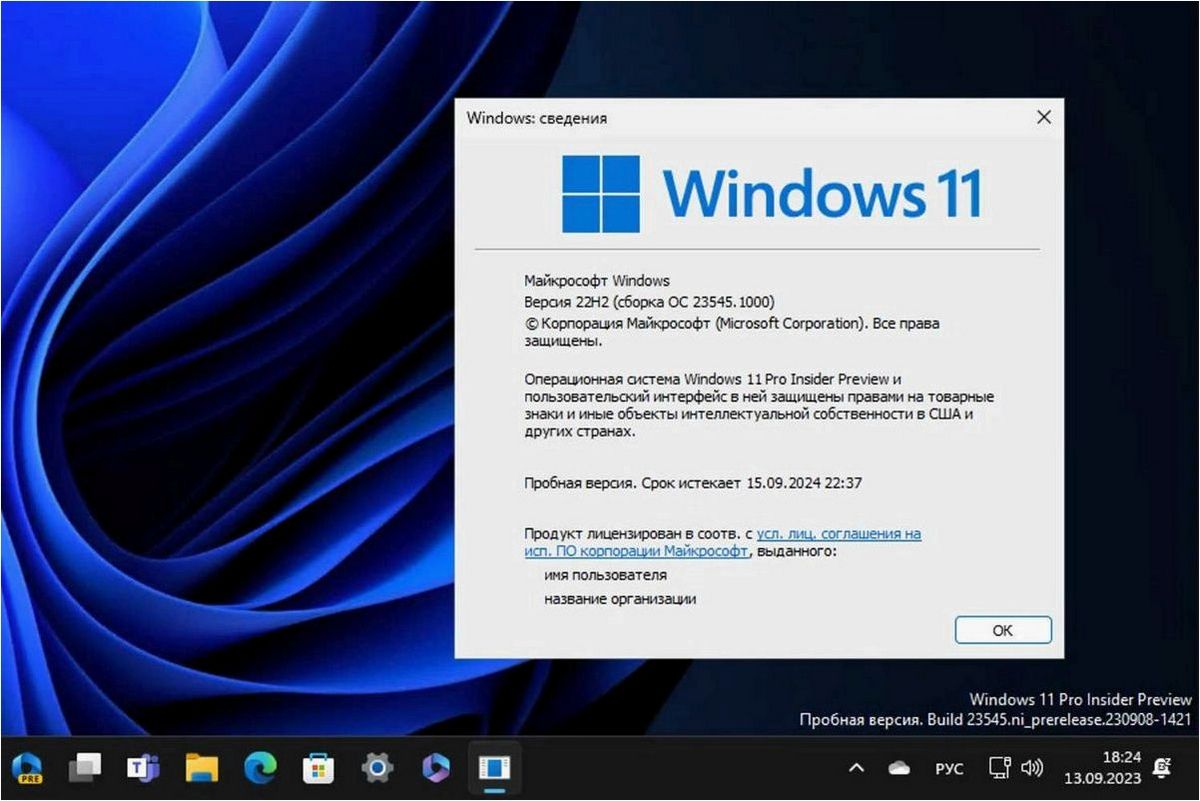 Настройка операционной системы Windows 11 в бесплатной программе ThisIsWin11